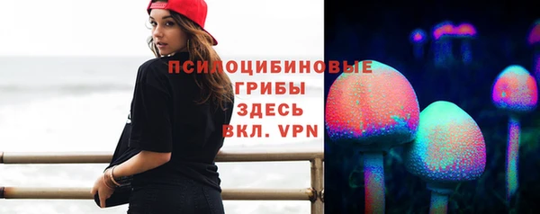 мескалин Инта