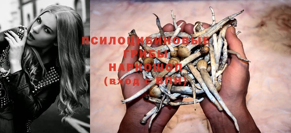 мескалин Инта