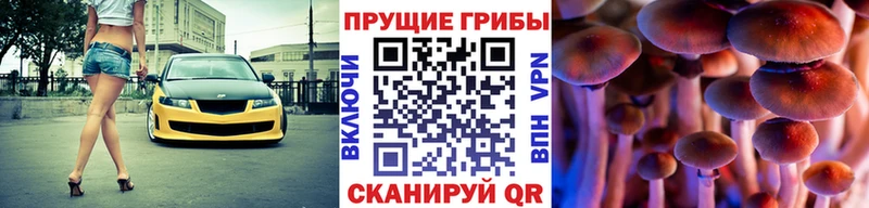 Псилоцибиновые грибы MAGIC MUSHROOMS  Купить  Джанкой 
